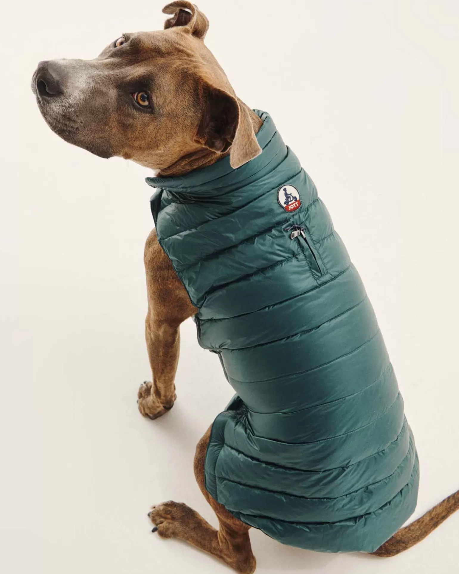 JOTT Down Jacket For Dogs Dark Green Woop